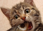 12属相买房吉利楼层,十二生肖各属相住哪一楼层更吉利？