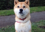 床头辟邪物,东方山有开光的辟邪之物吗