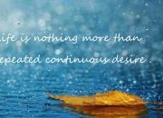 佛说经常被鬼压床的人,你相信鬼打墙，鬼压床吗？遇到过吗？