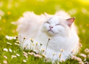 看坟地三十六绝,请问农村里建坟有什么顾忌和讲究？