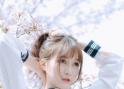 13楼什么生肖住最旺,12生肖在2017年哪个生肖财运最旺