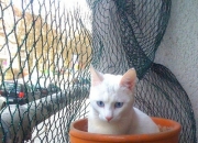 床头挂衣服会影响风水吗,影响运势的床头风水摆件有哪些？