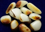 金镶玉由来和意义