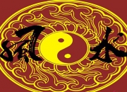 办公室风水摆放植物要注意什么