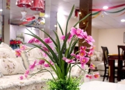 家里放个空鸟笼的禁忌,为什么家里不能摆放假花？