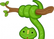 绿幽灵和什么属相犯冲,属蛇的人最怕和什么属相结婚？