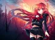 2022年九宫飞星方位图,九宫飞星 用阴历生日吗?