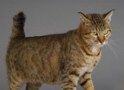 坟墓风水10大禁忌,农村坟地的改革，如何对待原有坟地？