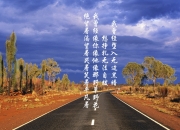 翡翠如何介绍,请介绍翡翠为什么叫翡翠.