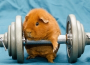 实用民间风水顺口溜,民间出嫁叠被有哪些顺口溜