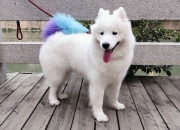 玉该怎么看,怎么看玉手镯?玉要怎么看真假?