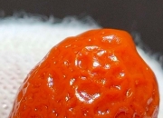 天然奇石,天然奇石与人工奇石最大的区别是价格吗？