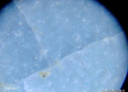 乾隆孝粉玉碗价格,请问，我有两个乾隆孝粉玉碗，能值多少钱？