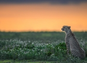 天然翡翠的硬度是多少,八三翡翠密度和硬度是多少？