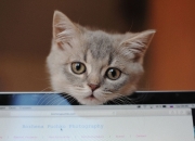 农村建房风水宝地图片,有谁知道农村建房风水宝地怎么选择呢？