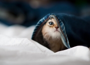 天然翡翠对人体的好处,天然玉石枕头对人体的好处有哪些？