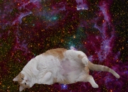 玉的颜色,玉戴的时间长了，会变色吗？