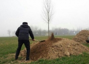 坟地里埋什么旺后人,清明添坟从哪儿用土合适？