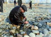 广西大化墨玉原料,广西大化县有多少个乡镇？