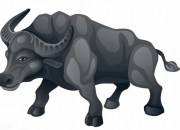 最有福的3个出生吉日,十二生肖谁的日子最好过？