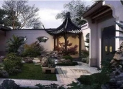 能镇宅的3种花,春节家中摆一盆什么样的花最好？