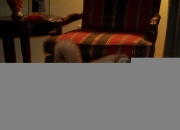 怎么鉴定玉的真假方法,怎样才会签定玉石的真假？