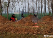 风水宝地下葬异象,为什么人死后下葬时要在死者口中放块玉？