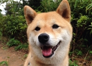 佩戴玉的好处和功效,有人说女人到了年纪，一定要戴玉，为什么？