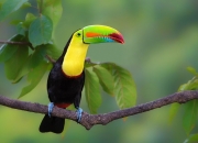 青石板用什么油养护,汉白玉保养用什么油最好？