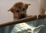 房间风水布局图解,房间布局风水禁忌有哪些？