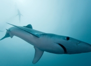 女生戴粉水晶手链禁忌,粉水晶手链戴哪只手比较好呢？