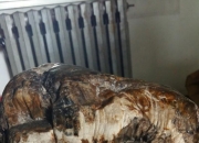 玉原石哪里可以捡到,辽宁省哪里能捡到好看的石头？