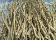 怎样让家里阳气旺盛,体寒怕冷的人，该怎样调理身体呢？