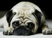 仿玉楼梯扶手制作详细教程,谁知道仿玉楼梯扶手安装流程？