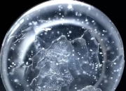 翡翠的种类有哪些,当下最值得购买的翡翠品种有哪些？