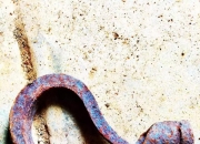 家里100种东西该扔掉,农村老房子里的老物件要不要扔掉？