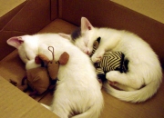 世界十大宝石排名,世界上10大知名宝石产你知道是什么吗？