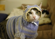 家里要出事的征兆,家里有人要去世，家里会有什么事发生吗？