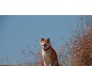 翡翠销售顺口溜通用大全,刚做销售两个月但是一直开不了单，怎么办？