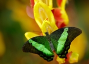 看墓地风水小诀窍,让爱情永久的风水小诀窍有哪些？