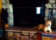 房子格局影响人的时运吗,房子朝向风水之内部格局有哪些呢？