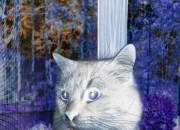 我国古代玉文化内涵,我国古代人民赋予了莲哪些文化内涵