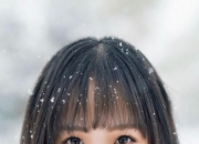 想找一个免费的算命软件？