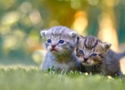 玉文化的内涵,“北斗七星”有什么文化内涵？