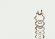 男的挂什么玉最好,古代男子的玉佩挂在哪里？