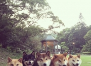 目前碧玺的价格是多少,目前碧玺拍卖成交价格是多少