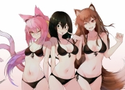 怎样养鱼,如何确定主养鱼和配养鱼？