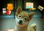 什么玉最贵,什么样的玉手镯最好最贵？