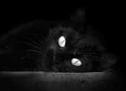 祖母绿和翡翠有什么区别,与翡翠颜色相同的宝石有哪些？