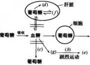 日常生活科普小知识,生活中有哪些化学知识与原理有哪些？